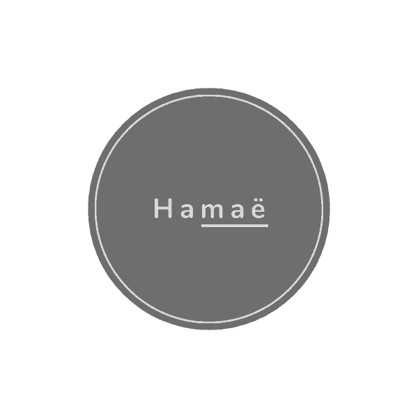 Logo Hamae référence agence Lemon Brest
